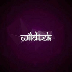 WILDTEK MUSIC