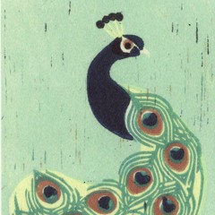 peacockparasol