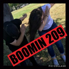 BoOmiN209