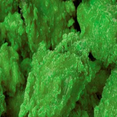 The Betterment Podcast