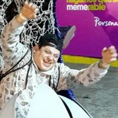 para cambiar estilos popim sect