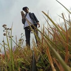 Andre Setiawan II