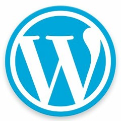 WordPress Support 247