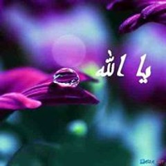 صامد ولا بنذل