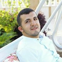 Ali H Fakih