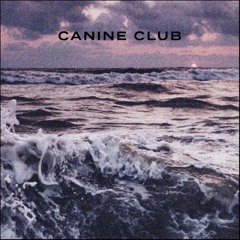 Canine Club