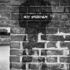Herr Schabernack