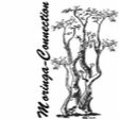 Moringa-Connection