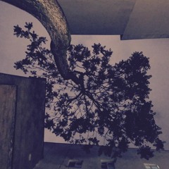 Give Me Time To Rest