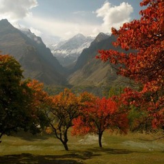 ja khayal r dukon sherbaz new