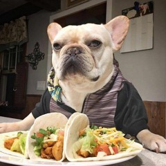 pork