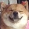 DogeXa