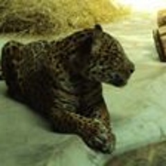 мой сборник