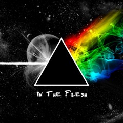 "Russ Floyd" - Pink Floyd Tribute band