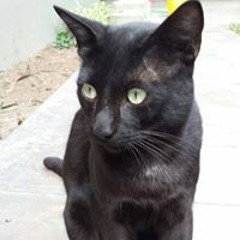 Adriana Vera Quichca