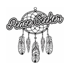 DJ PEACE-SEEKER