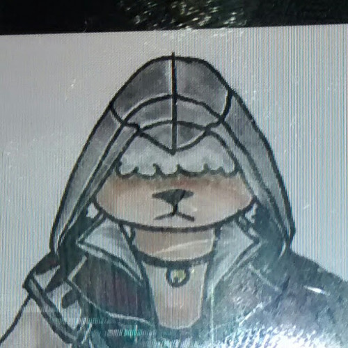 assassin sheep’s avatar