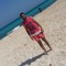 Belal S . Abdo