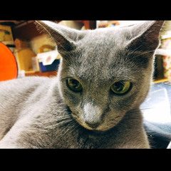 사람회색