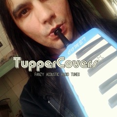 Tupper Covers