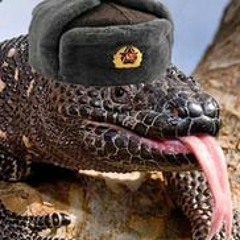 Commieleon, the communist lizard