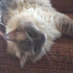 when you're panicking and need to say goodbye to the world for a bit