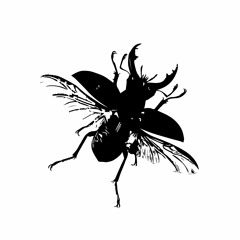 Käfer