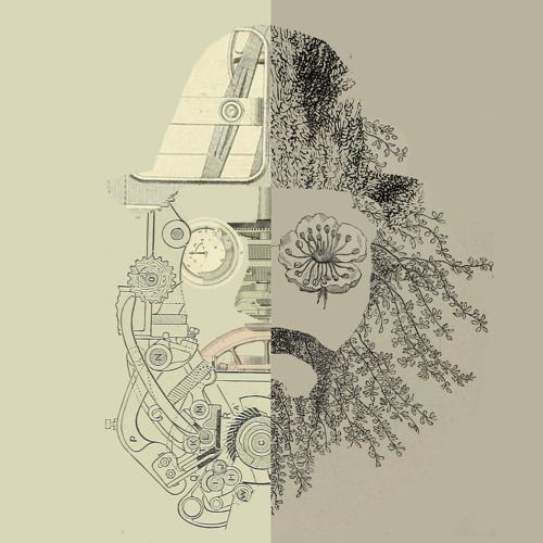 This Is Why I am Called