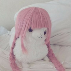 Kiwipie