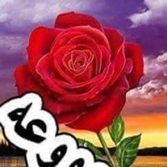 محمد العراقي