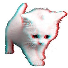 CatW