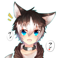 Nico Nini