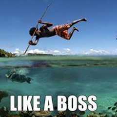 BASS