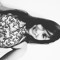 Suzan Rayane