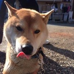 鶴田直子