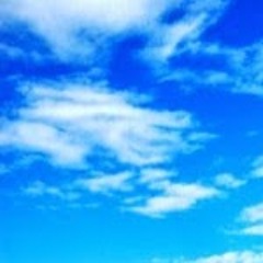User 700802987
