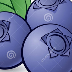 blueberry kat