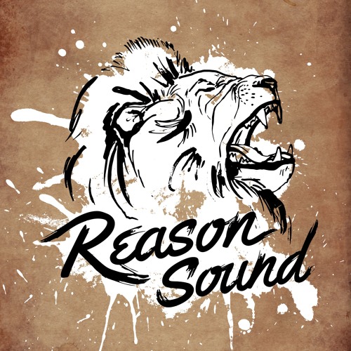 Reason Sound System’s avatar