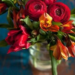 Mabua Robbert Baruti