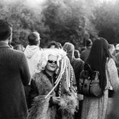 Red Virginia Creeper (RVC)