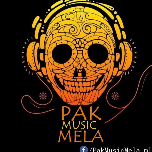 Pak Music Mela’s avatar