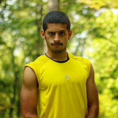 naser altayyar