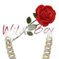 WildBoys Productions💰