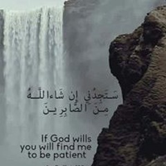 Dina Ahmed