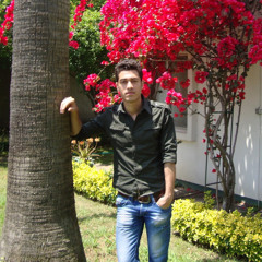 Nima Abed