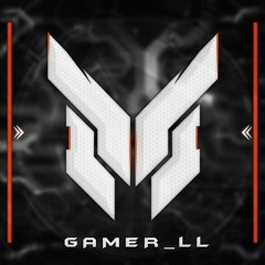 Gamer_ LL
