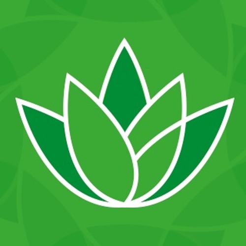 Sociedade Vipassana de Meditação’s avatar