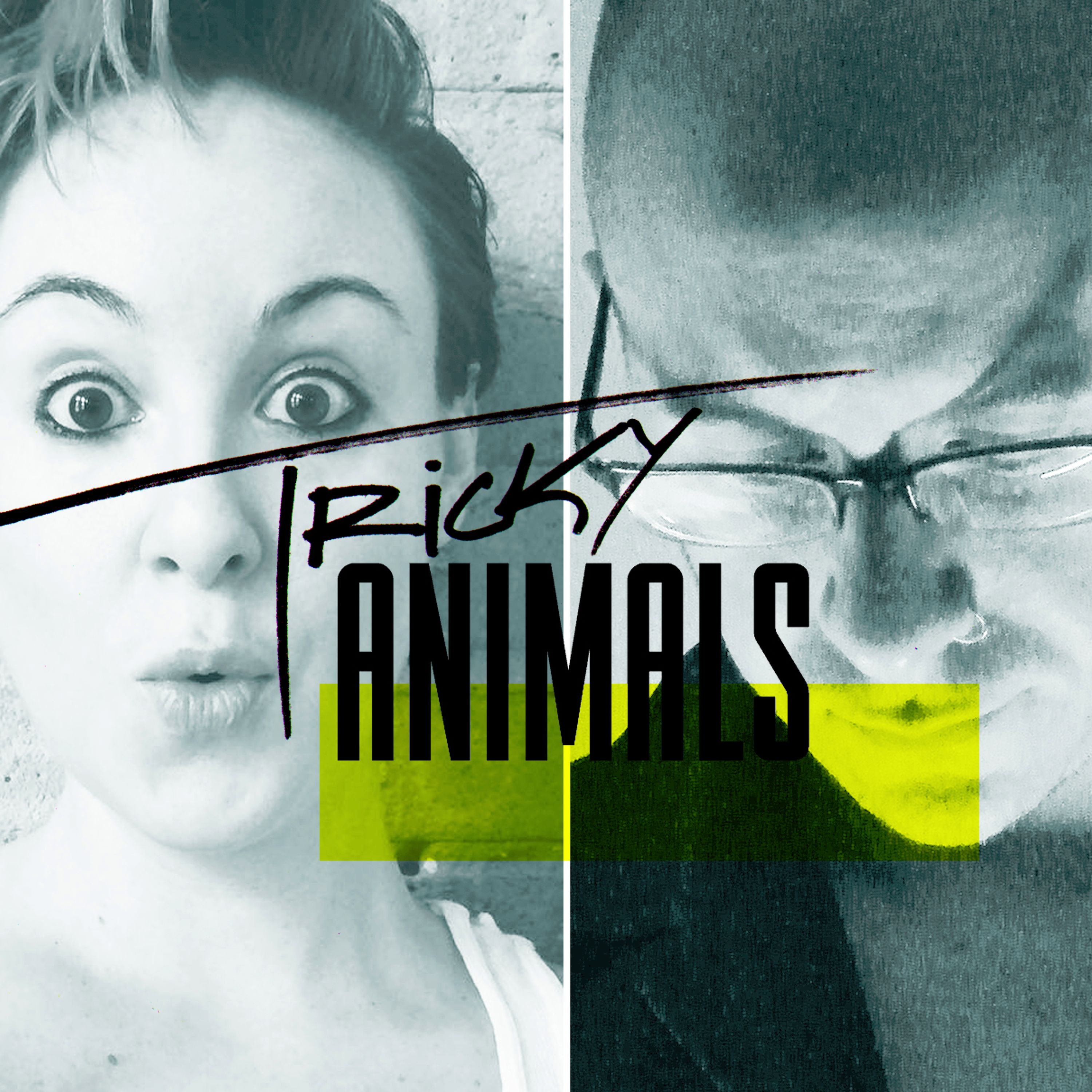 Tricky Animals