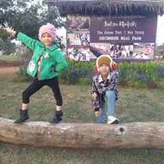 U Thu Yein
