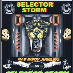 SELECTOR STORM